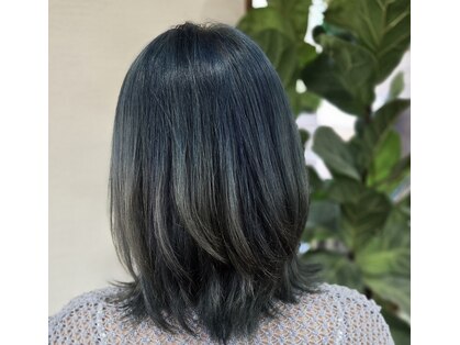 フィカス(Ficus)の写真