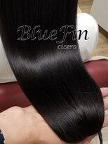 ブルーフィン シセロ(Blue Fin cicero) 黒髪の美学
