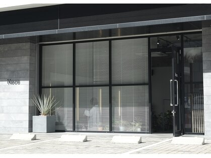 ネセ(Nece)の写真