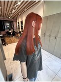 【D'na×古屋】ディープオレンジ