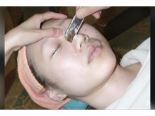 カットインプラム