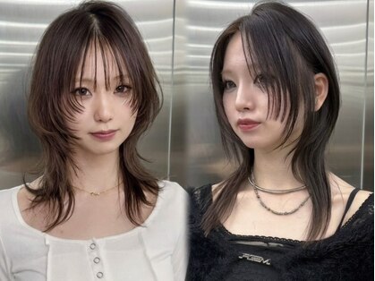アイヴァン(AIVAN)の写真