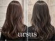 アーサス バイ ヘッドライト 新潟万代店(ursus by HEADLIGHT)の写真