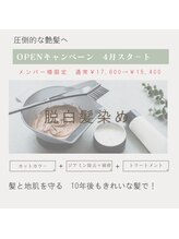 セクション(SECTION)