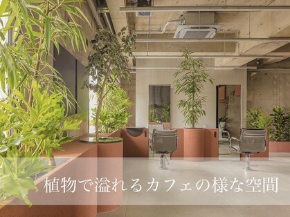 キャラハーフ 池袋東口店(KYARA HALF)の写真