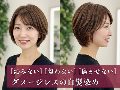 アイスタイル 西条西店(I STYLE)の写真