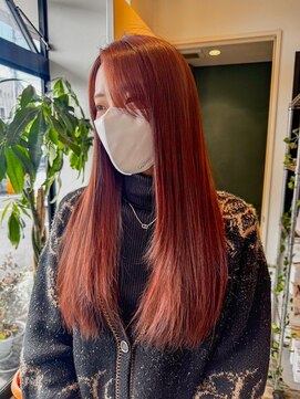 アンドファインヘアービューティー(AND FINE hair beauty) カシスレッドカラー