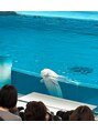 ムイ(muy)&nbsp;いつかは全国の水族館巡りをしたいと野望を持っています
