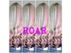ロアー(ROAR)の写真