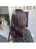 ブリーチなし×カシスブラウン