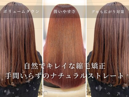 アントワープヘアー(Antwerp hair)の写真