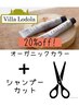 【新規ヴィラロドラカラー￥20%off】＋【カット】￥16500→￥14630