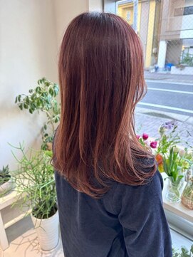 マロウイヴ(mallow eve) 《花屋併設》コーラルブラウン