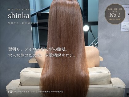 シンカ(shinka)の写真
