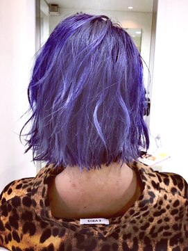 メルマードバーベル(Mermard Bavel) ブルーパープル