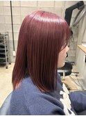 ピンクラベンダー