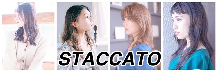 スタッカート 東大宮店(STACCATO)のサロンヘッダー