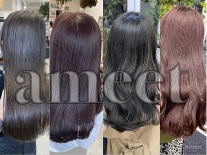 アミート(ameet)の写真
