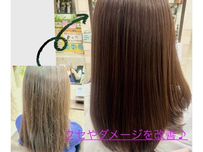 ブーゲンビリアの写真