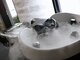 ロウエン 筑紫野(LOWEN)の写真/【筑紫野/ヘッドスパ】癒しの特別空間で髪も心も癒され、日ごろの疲れをリフレッシュしませんか？