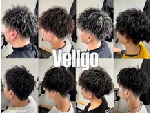 ヴェルゴ 北島店(vellgo)