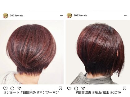 セラータ(Serata)の写真