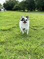 フローレン(FLOREN)&nbsp;愛犬のmoguです◎とてもやんちゃです^_^