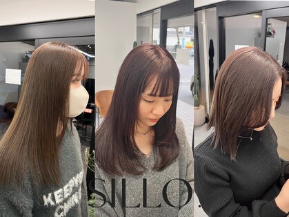 シロ(SILLO.)の写真