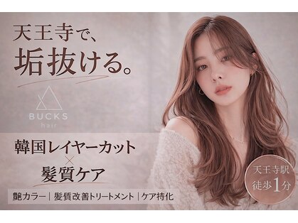 バックス(BUCKS)の写真