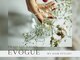 エヴォーグ(EVOGUE)の写真