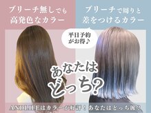 アンドライフ 市原店(AND LIFE)の雰囲気（ブリーチ無しでも透明感・高発色♪[ハイトーン/ダブルカラー]）