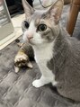ブル(blu)&nbsp;17才と4才の猫飼ってます！