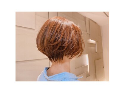 エル シェアート(el sheart)の写真