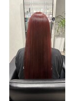 ソルビア(solvia) 艶感レッドカラー