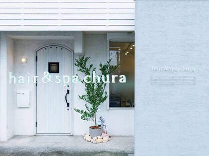 チュラ(chura)の写真