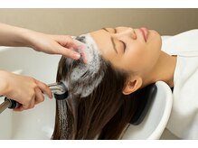 髪と頭皮をリセット。SHEERIEの炭酸泉ケアで、本来の美しさを引き出す。