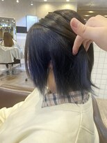 イージス(EZs)&nbsp;インナーカラー/ネイビーブルー