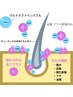【ウルトラファインバブル】】育毛促進・白髪特化ヘッドスパ30分コース￥4900