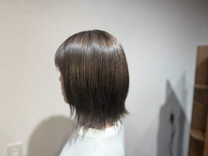 ロイ(Roy)の写真