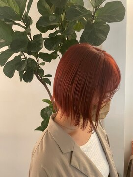 プラスディー(+D) オレンジブラウン