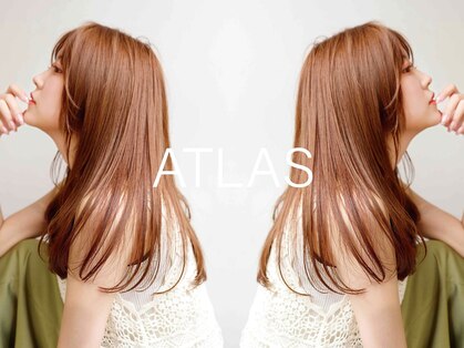 アトラス(ATLAS)の写真