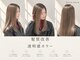 ジッカジッカ(Jicca Zicca)の写真