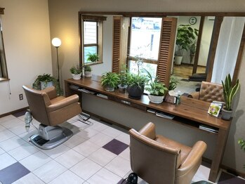 ネバーランド(NEVERLAND)の写真/植物に癒されながら贅沢な時間をお過ごしください♪プライベートサロンでの自分だけのリラックスできる空間