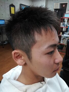 エルム ショートヘアー