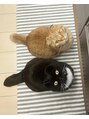 ヌビア 青葉台(NUBIA) 溺愛中の愛猫、きぬともめんです♪