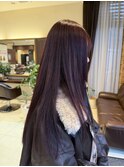 カシスバイオレット