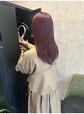ピンクラベンダー
