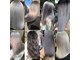 テテ(TETE)の写真