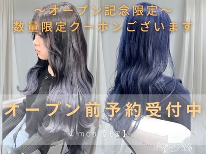 モア(moa)の写真