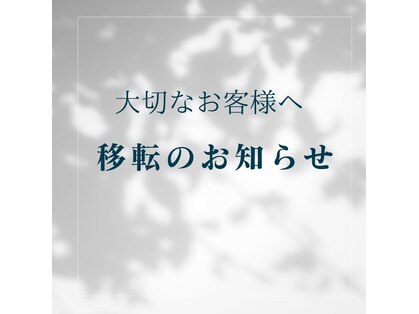 テテ(TETE)の写真